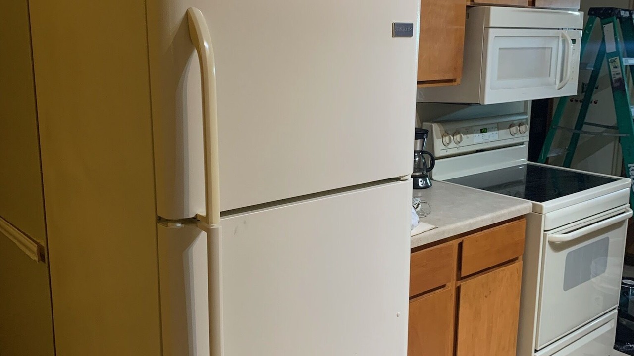 Photo of Kitchen in Colchester