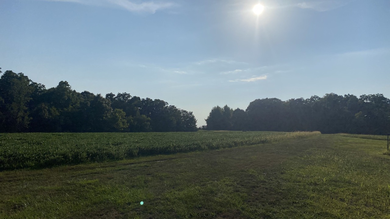 Photo of Outdoor in Fowler