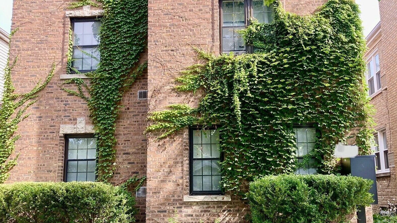 Photo of Outdoor in Evanston