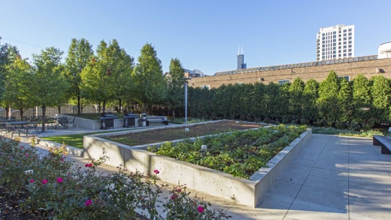 Photo of Outdoor in South Loop