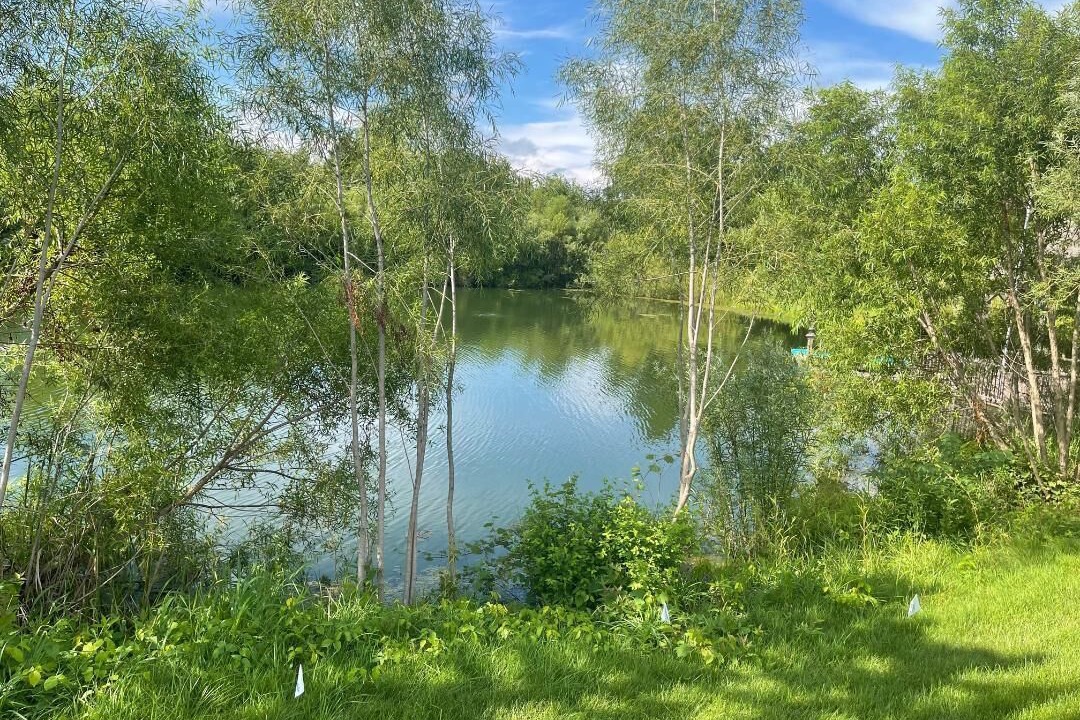 Photo of Outdoor in Marengo