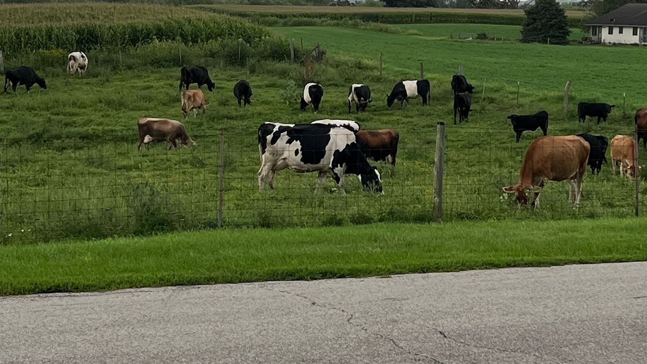 Photo of Others in Fulton