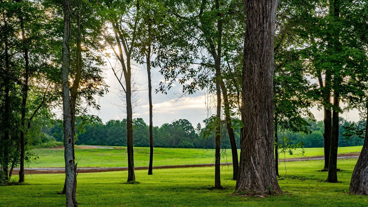 Photo of Outdoor in Carbondale