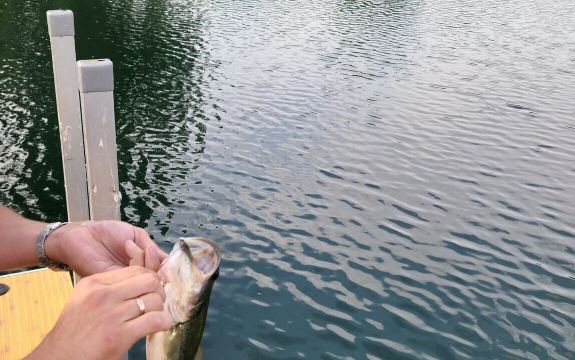 Photo of Outdoor in Lakemoor