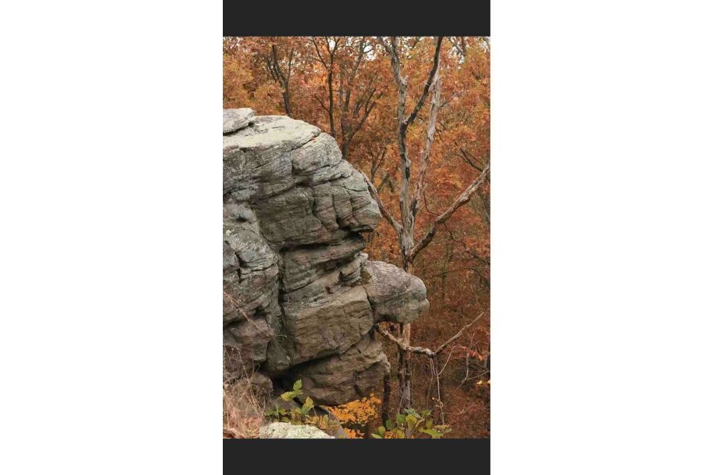 Photo of Others in Elizabethtown