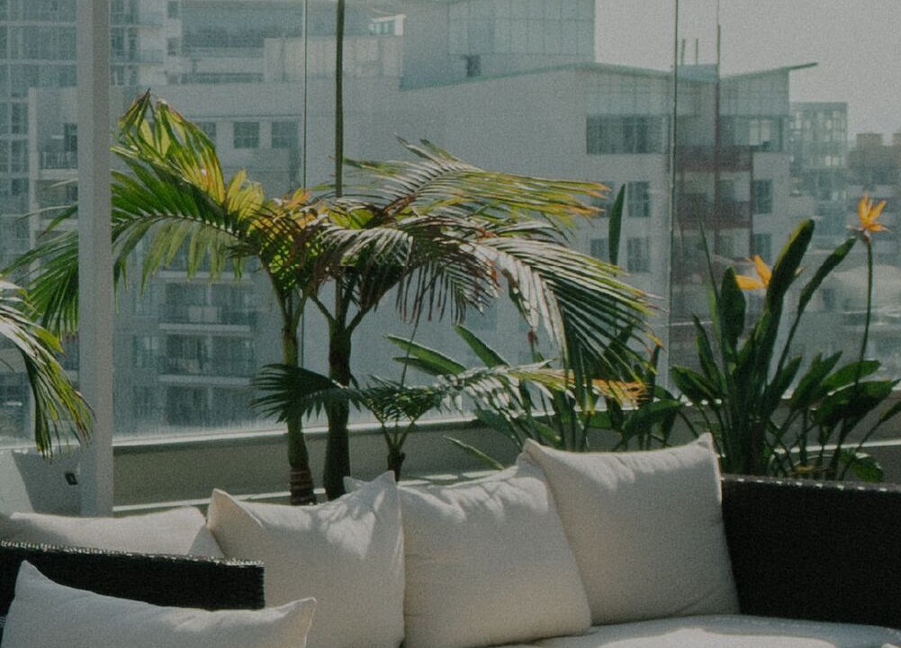 Photo of Outdoor in Lake View East