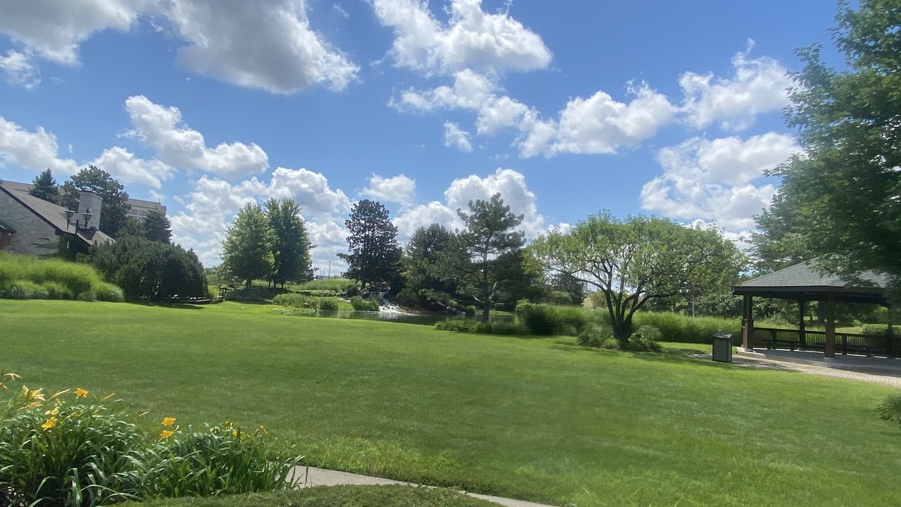 Photo of Others in Rosemont