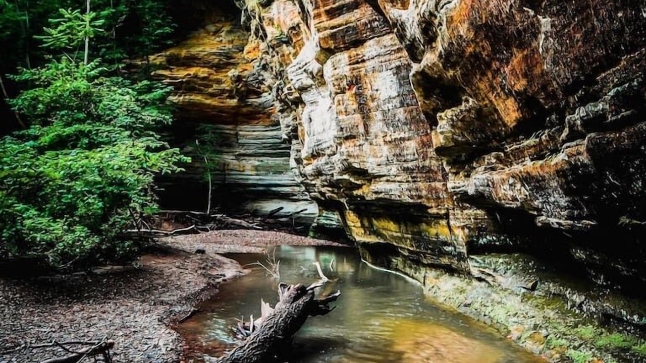 Photo of Outdoor in Oglesby