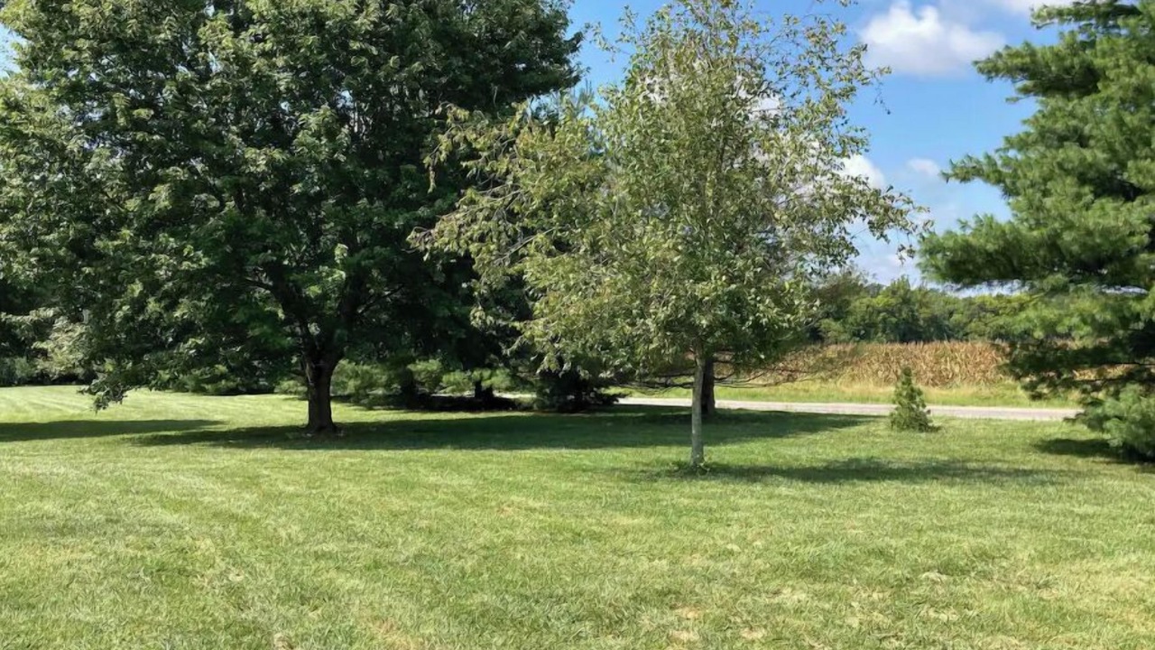 Photo of Outdoor in Freeburg