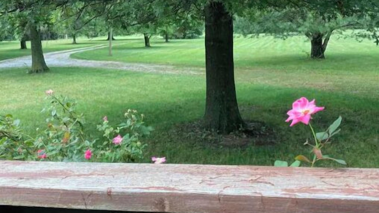 Photo of Outdoor in Freeburg