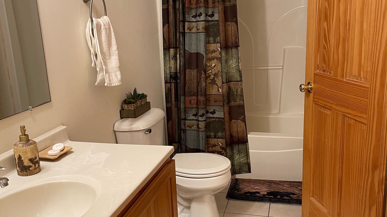 Photo of Bathroom in Oglesby