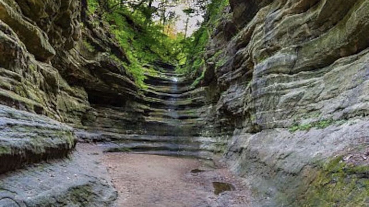Photo of Outdoor in Oglesby