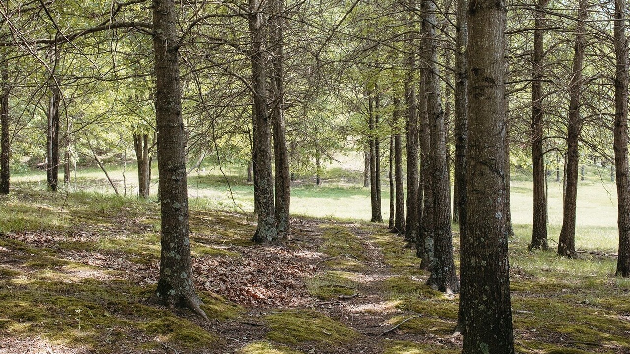 Photo of Outdoor in Carbondale