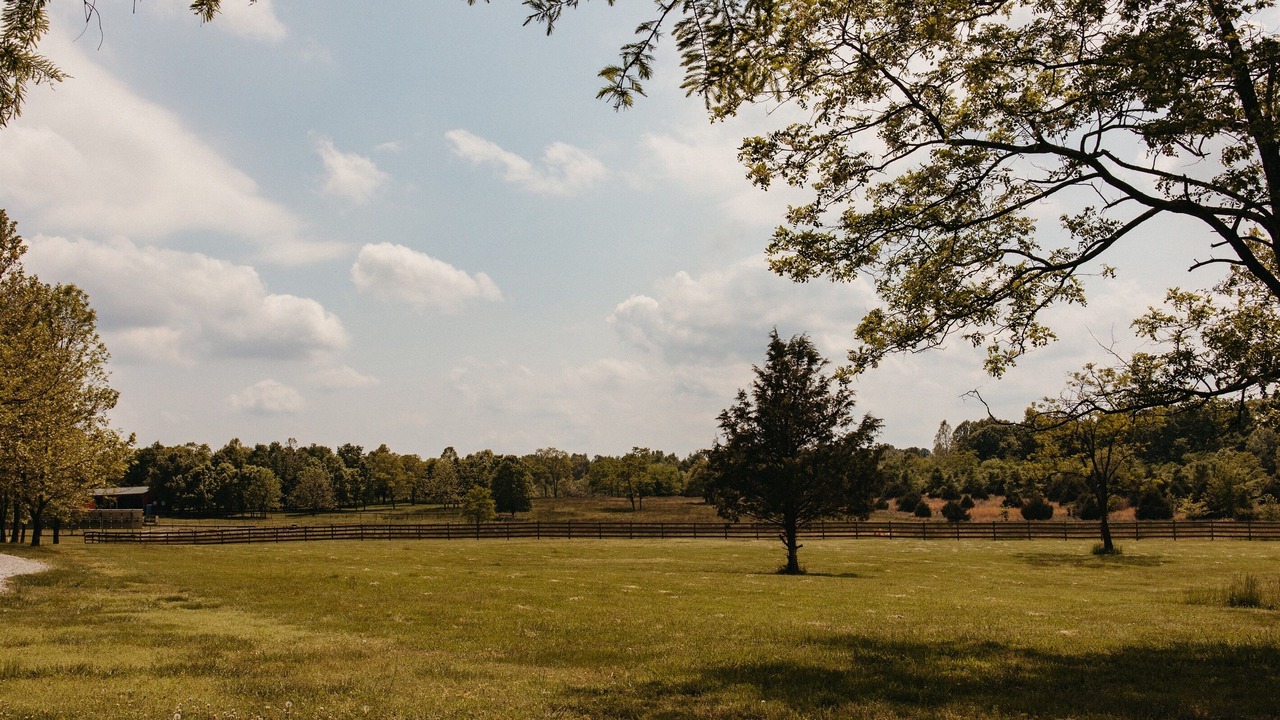 Photo of Others in Carbondale