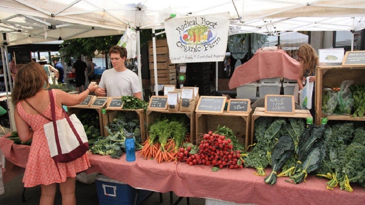 Photo of Outdoor in Logan Square