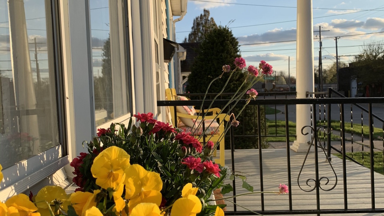 Photo of Outdoor in Morton