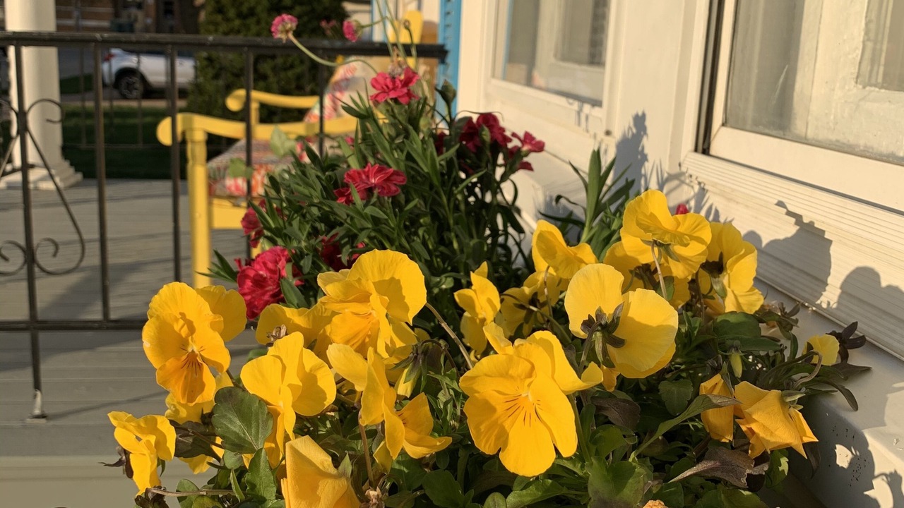 Photo of Outdoor in Morton