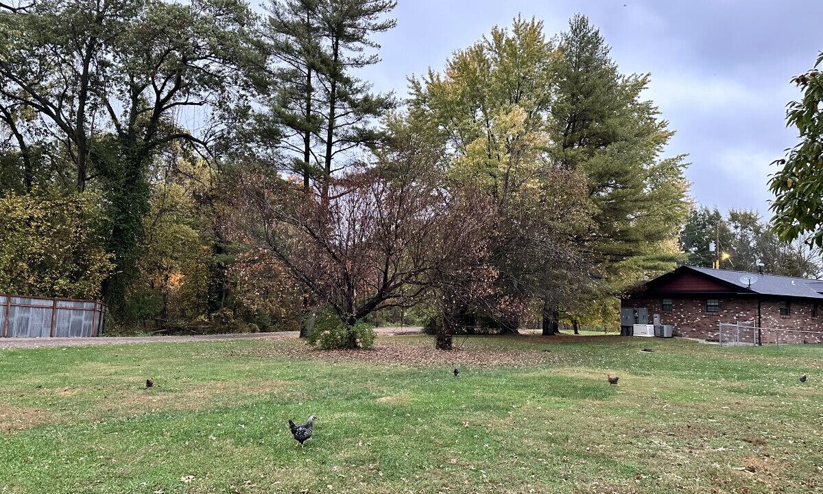Photo of Outdoor in Caseyville