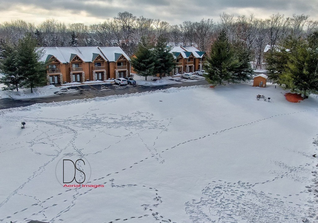 Photo of Outdoor in Oglesby