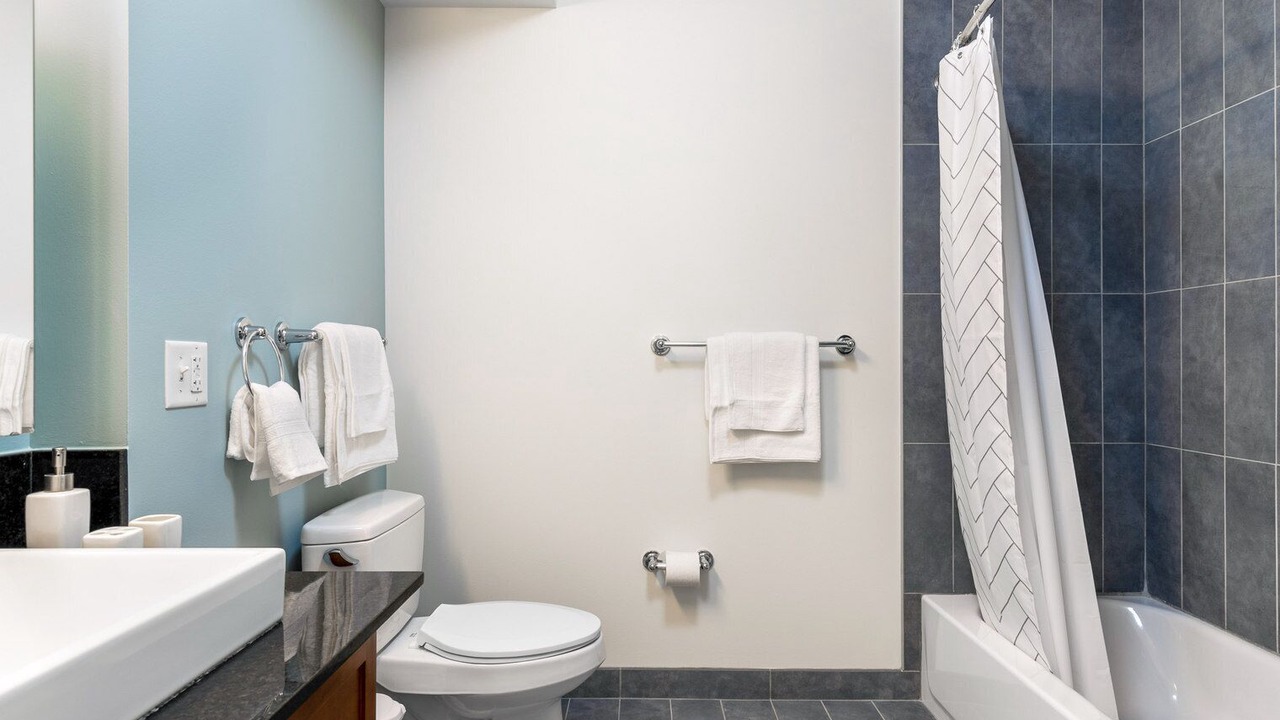 Photo of Bathroom in Downtown Chicago