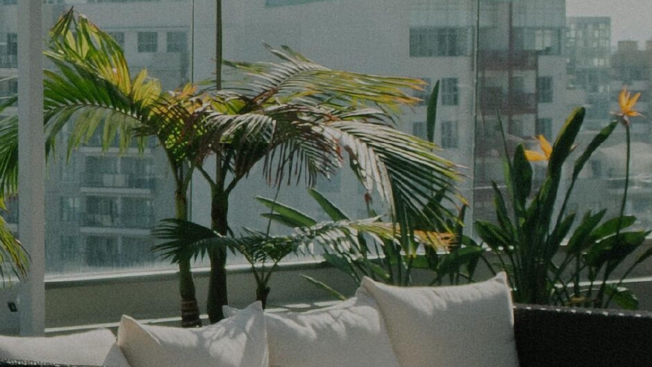 Photo of Outdoor in Rush and Division