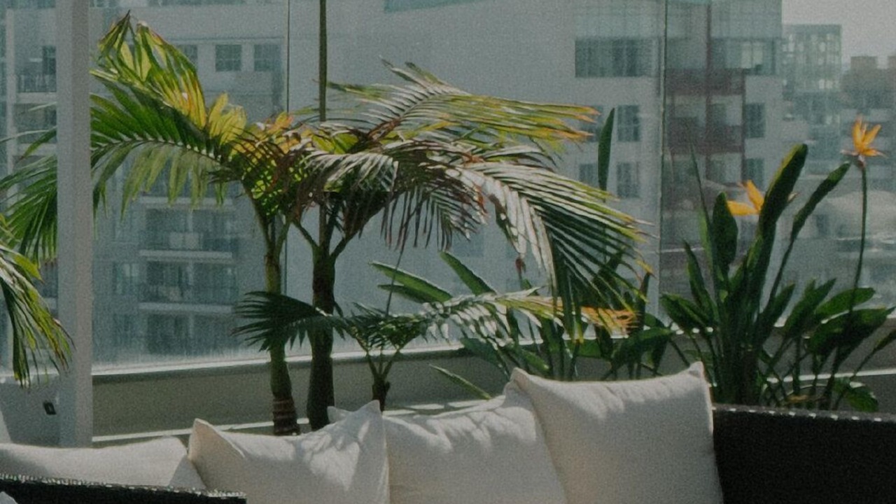 Photo of Outdoor in River North