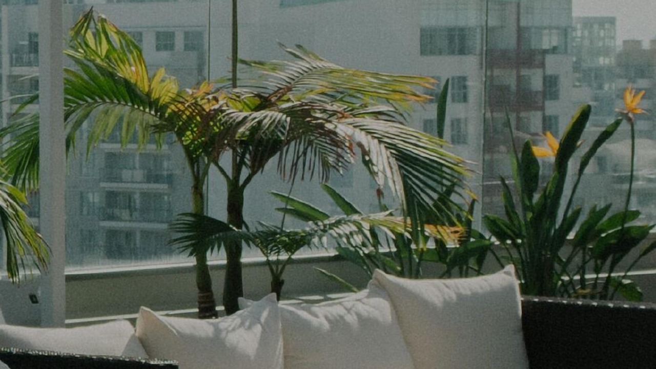 Photo of Outdoor in West Loop