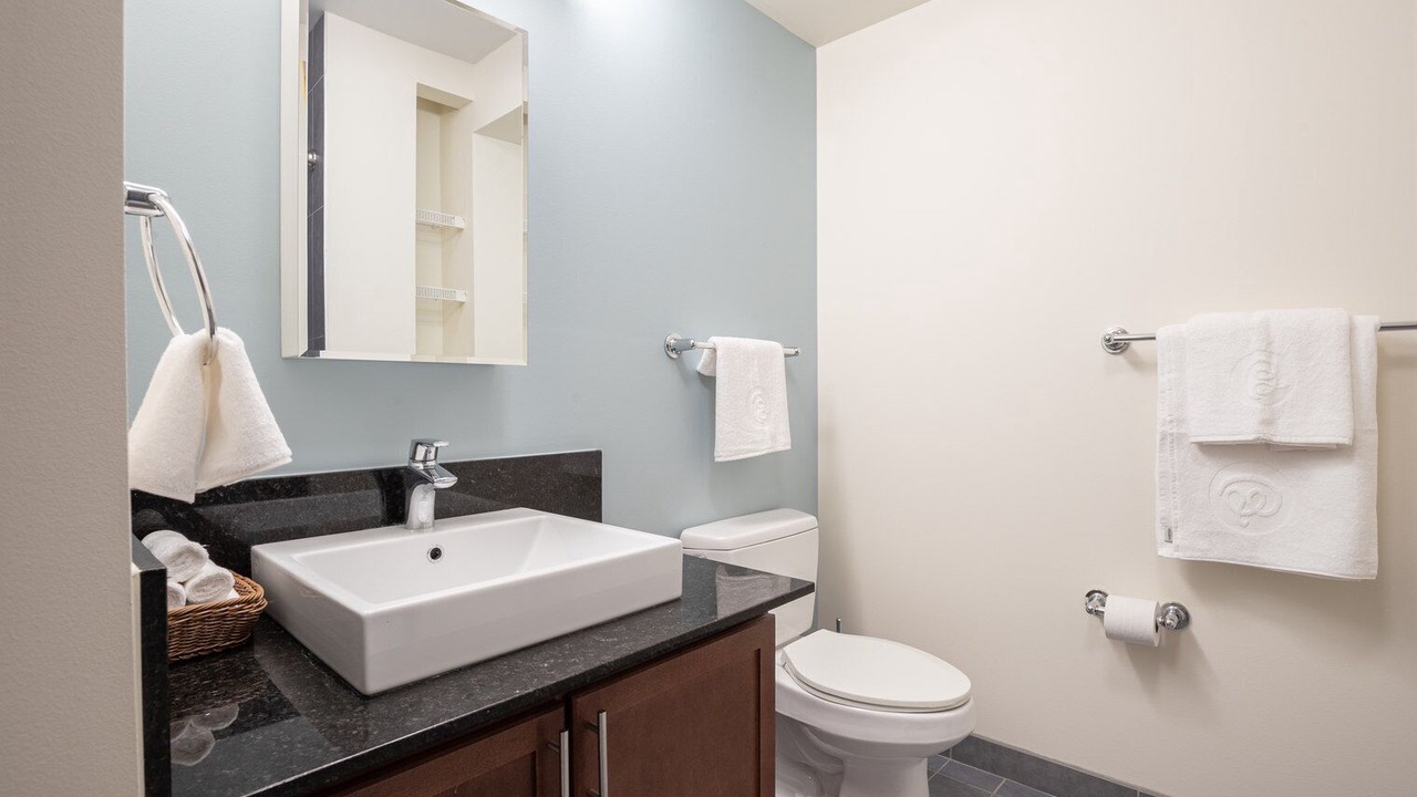 Photo of Bathroom in Downtown Chicago