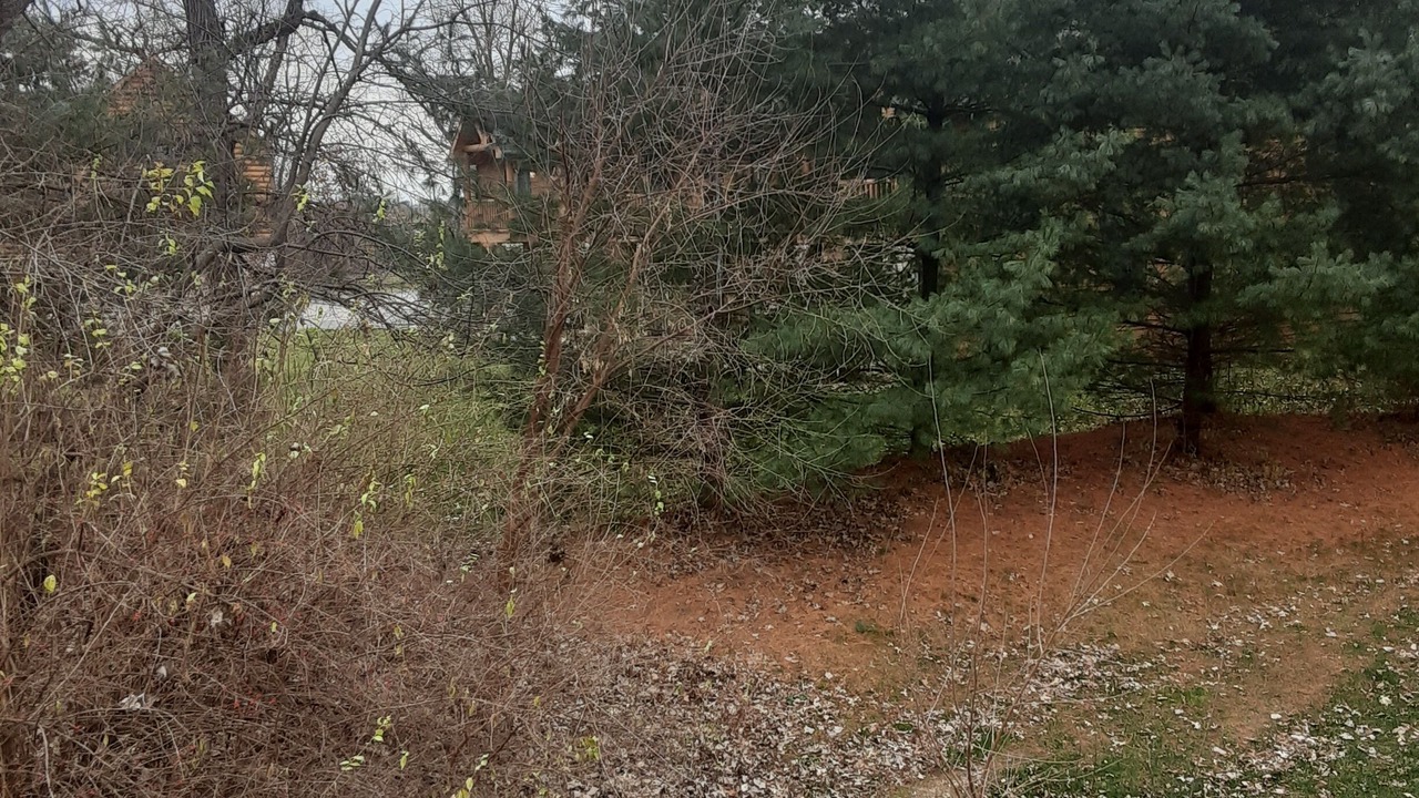 Photo of Others in Oglesby
