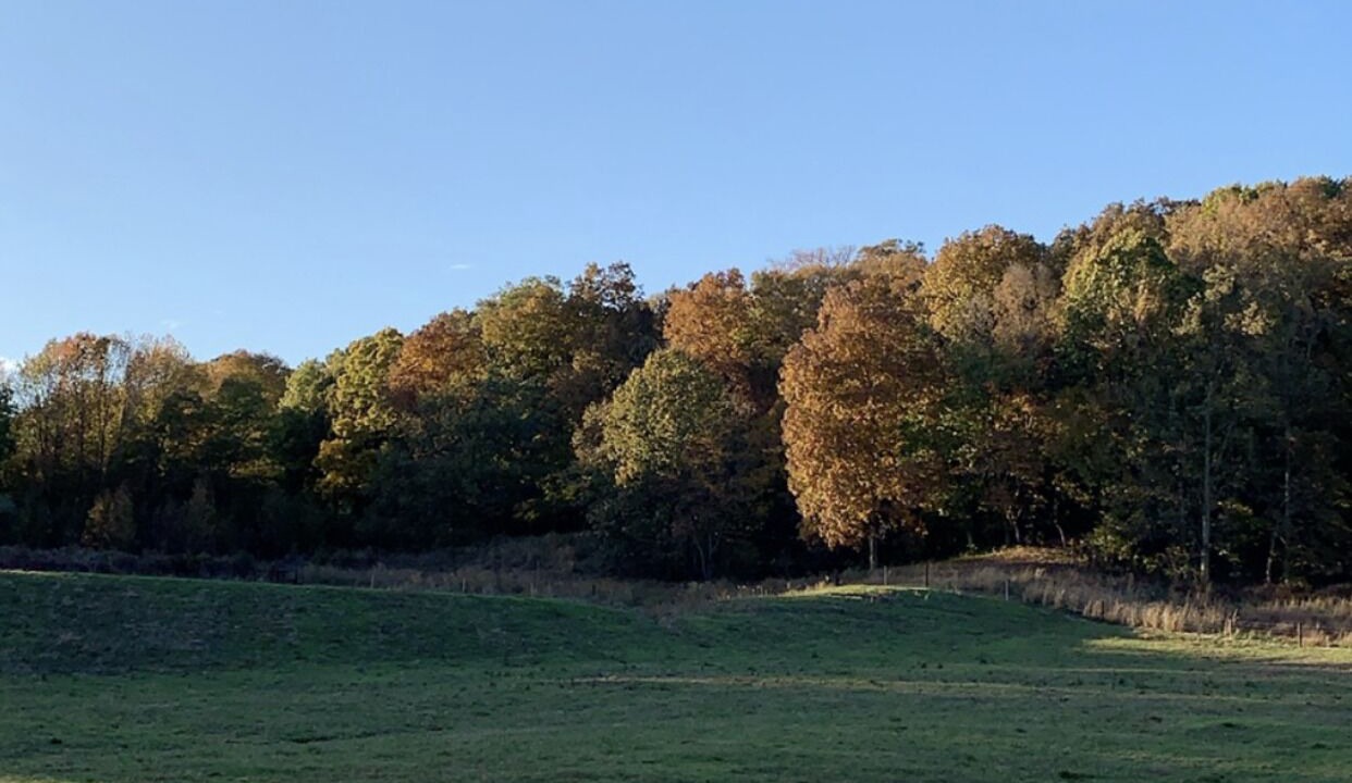Photo of Outdoor in Alexander