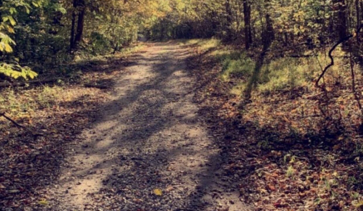Photo of Outdoor in Alexander