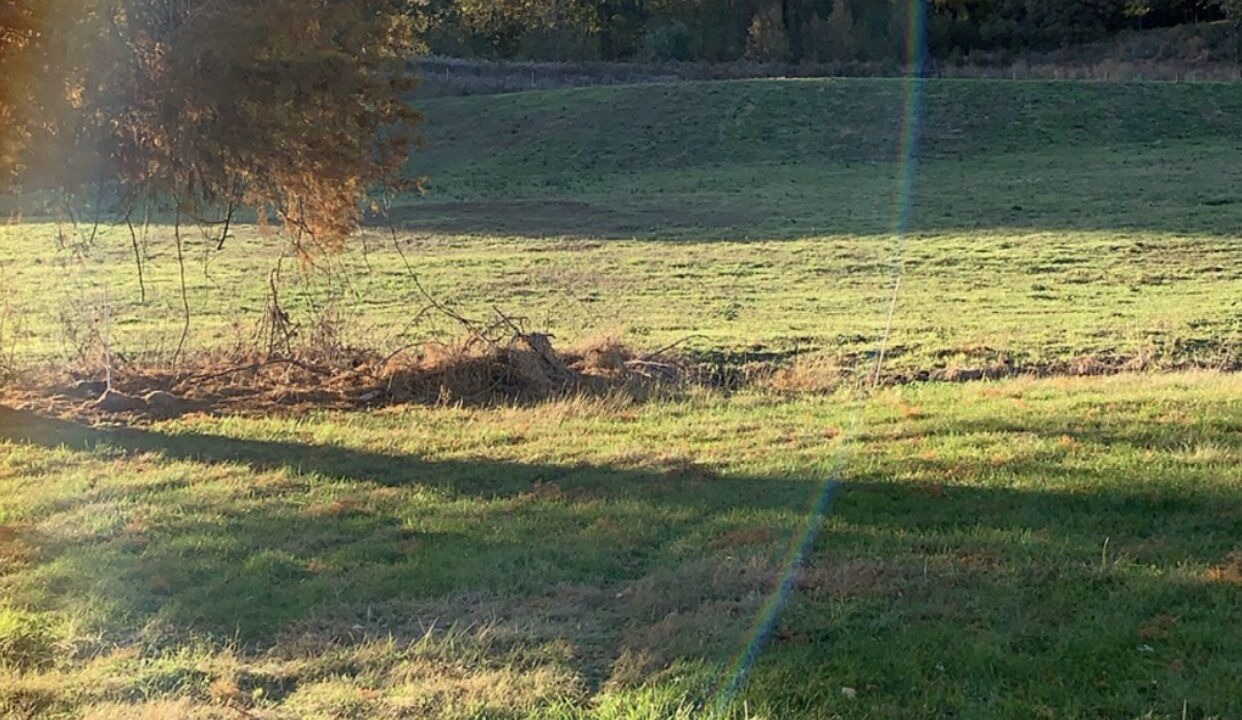 Photo of Outdoor in Alexander