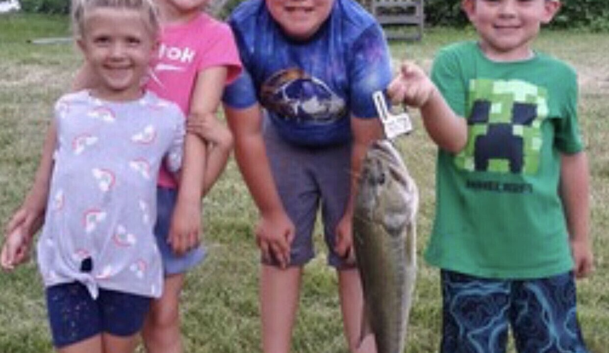 Photo of Others in Mitchell