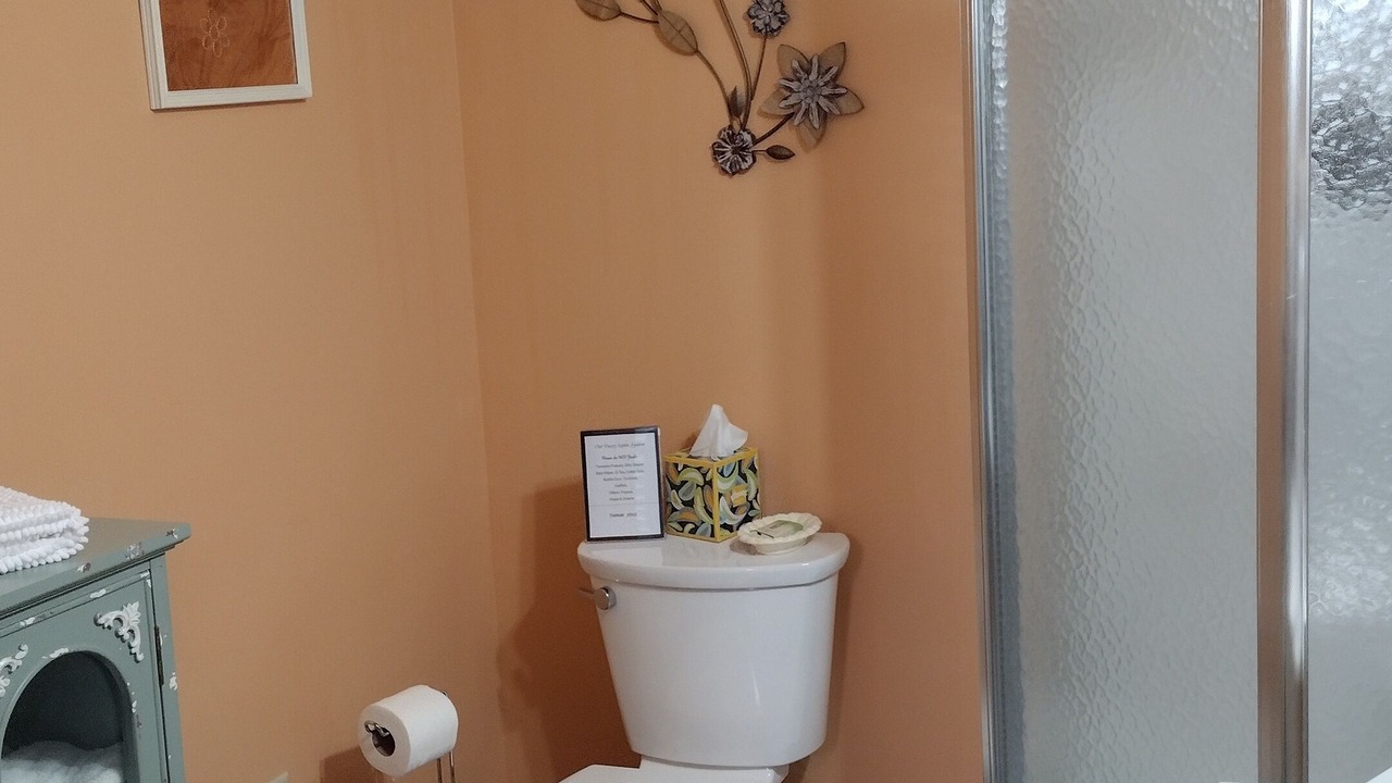 Photo of Bathroom in Maeystown