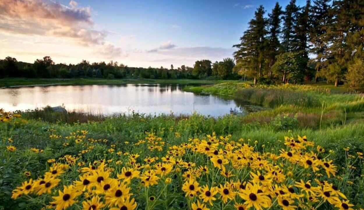 Photo of Outdoor in Lisle
