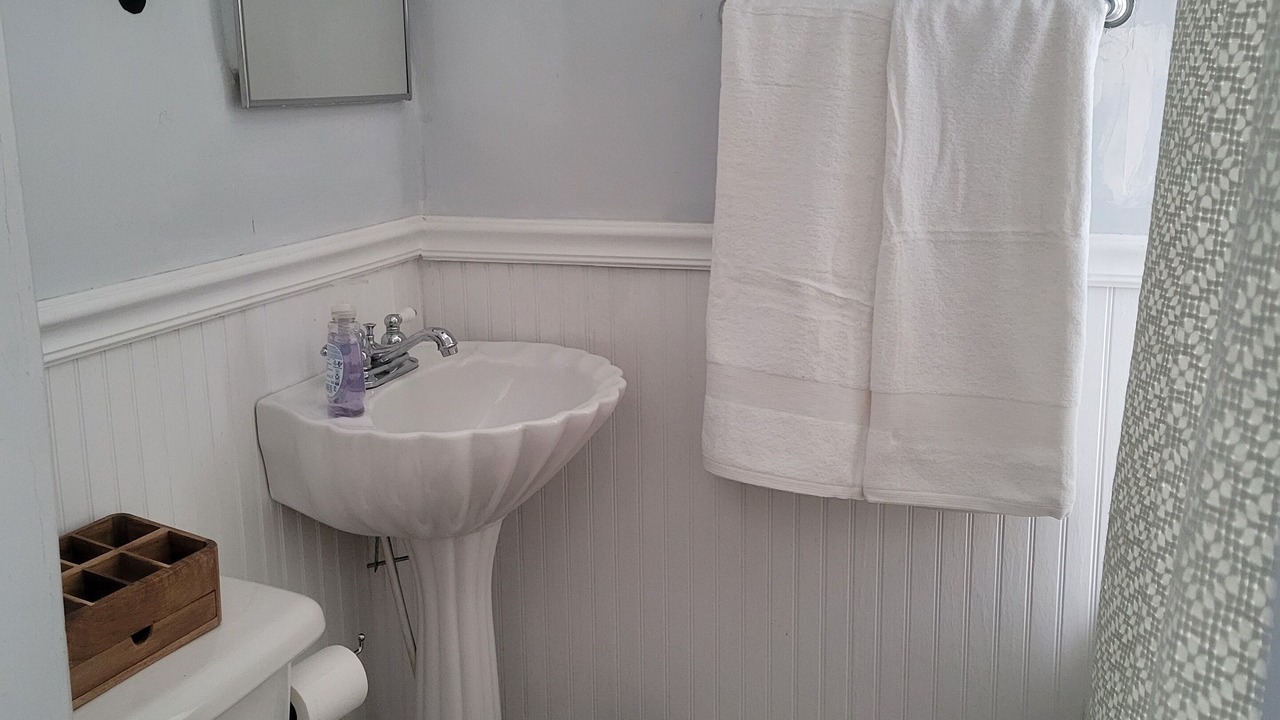 Photo of Bathroom in Nauvoo