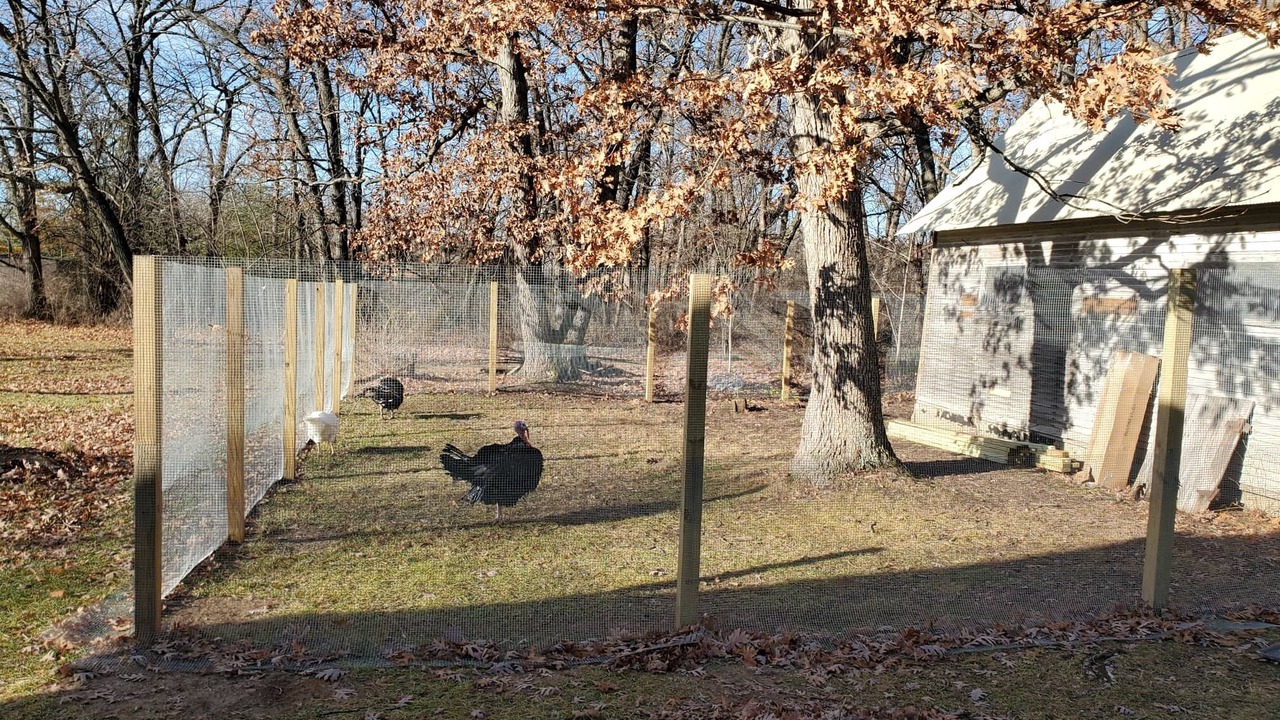 Photo of Outdoor in Alden
