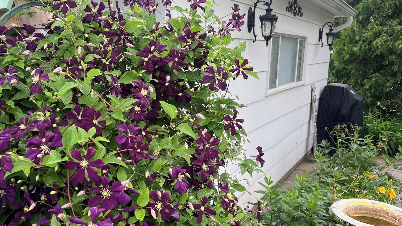 Photo of Outdoor in Glen Ellyn