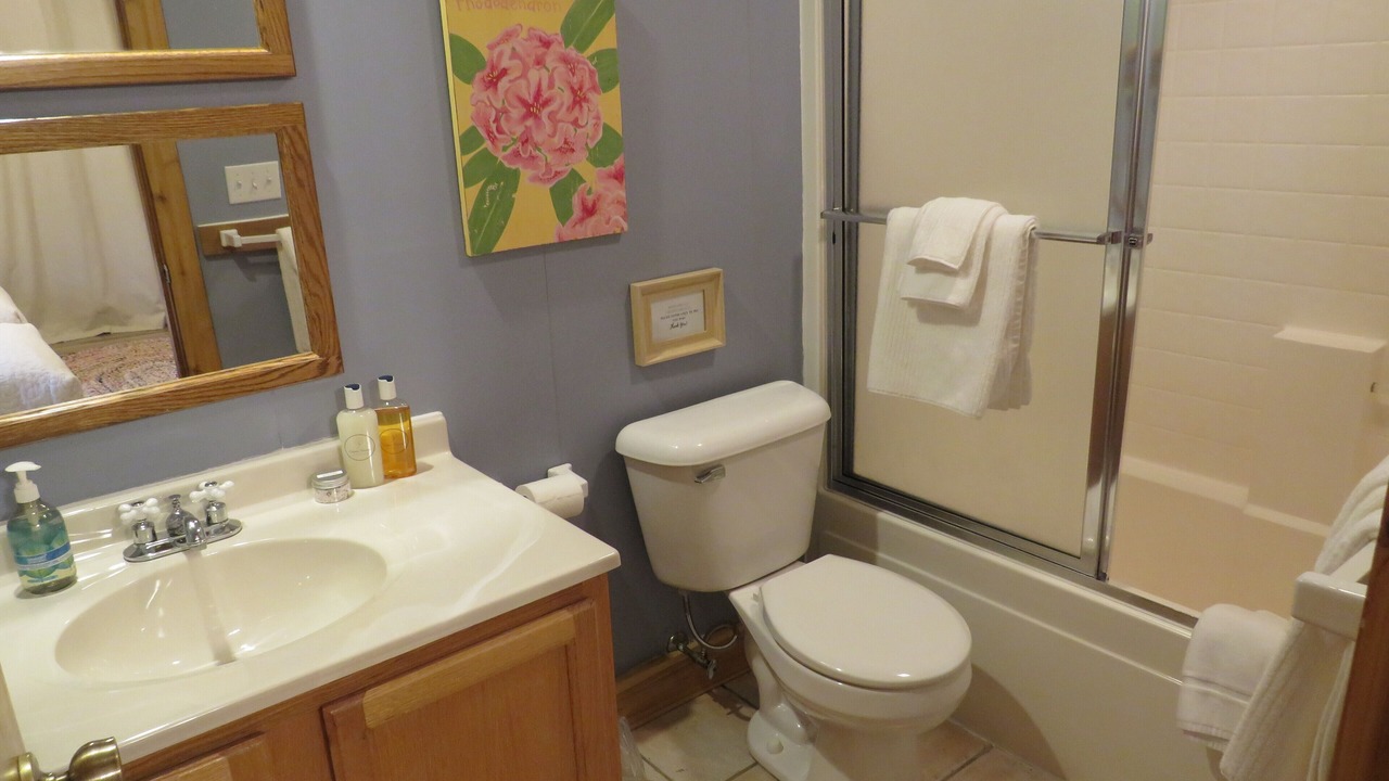 Photo of Bathroom in The Galena Territory