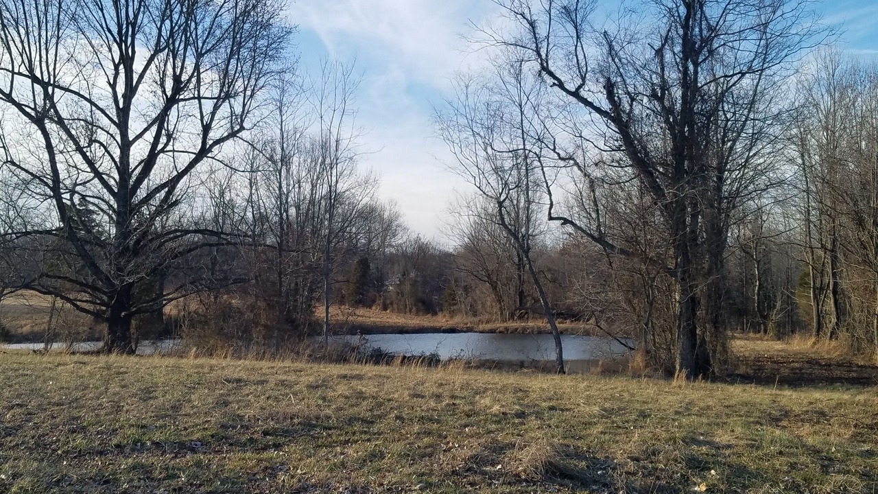 Photo of Outdoor in Metropolis