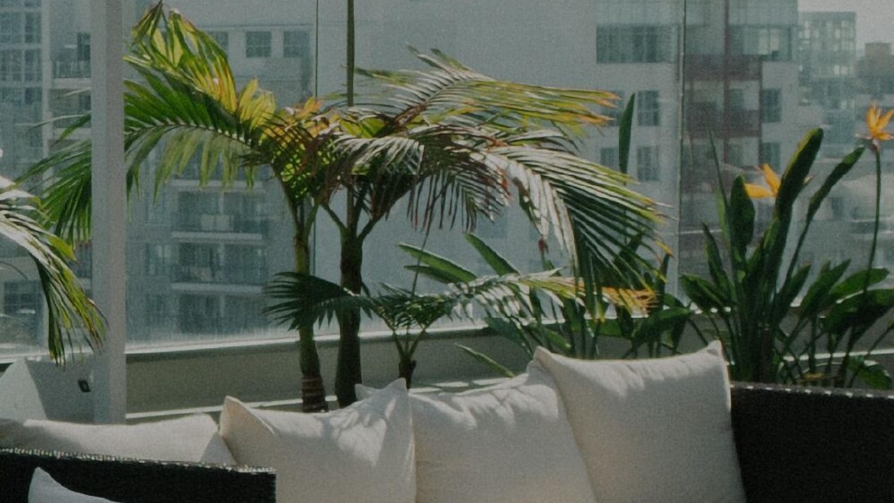 Photo of Outdoor in Sheffield Neighbors