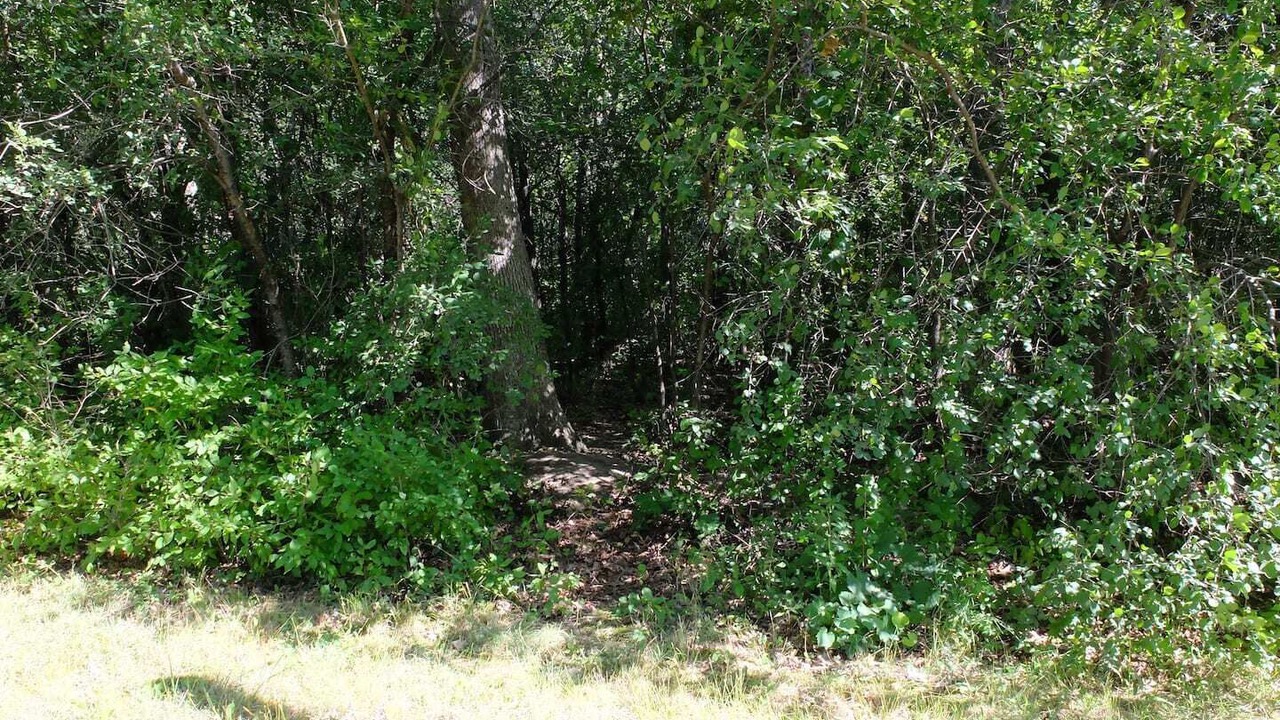 Photo of Outdoor in Zion
