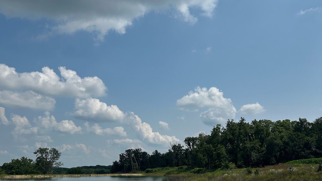 Photo of Outdoor in Sunnyland