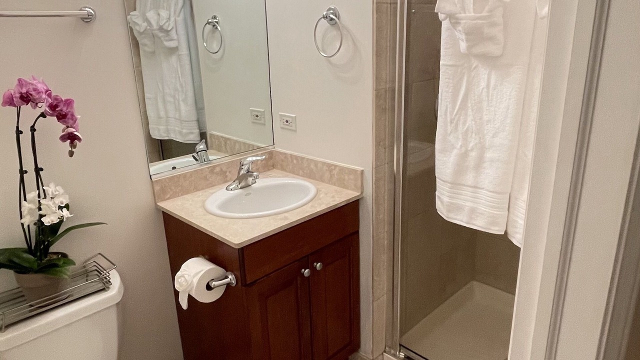 Photo of Bathroom in West Town