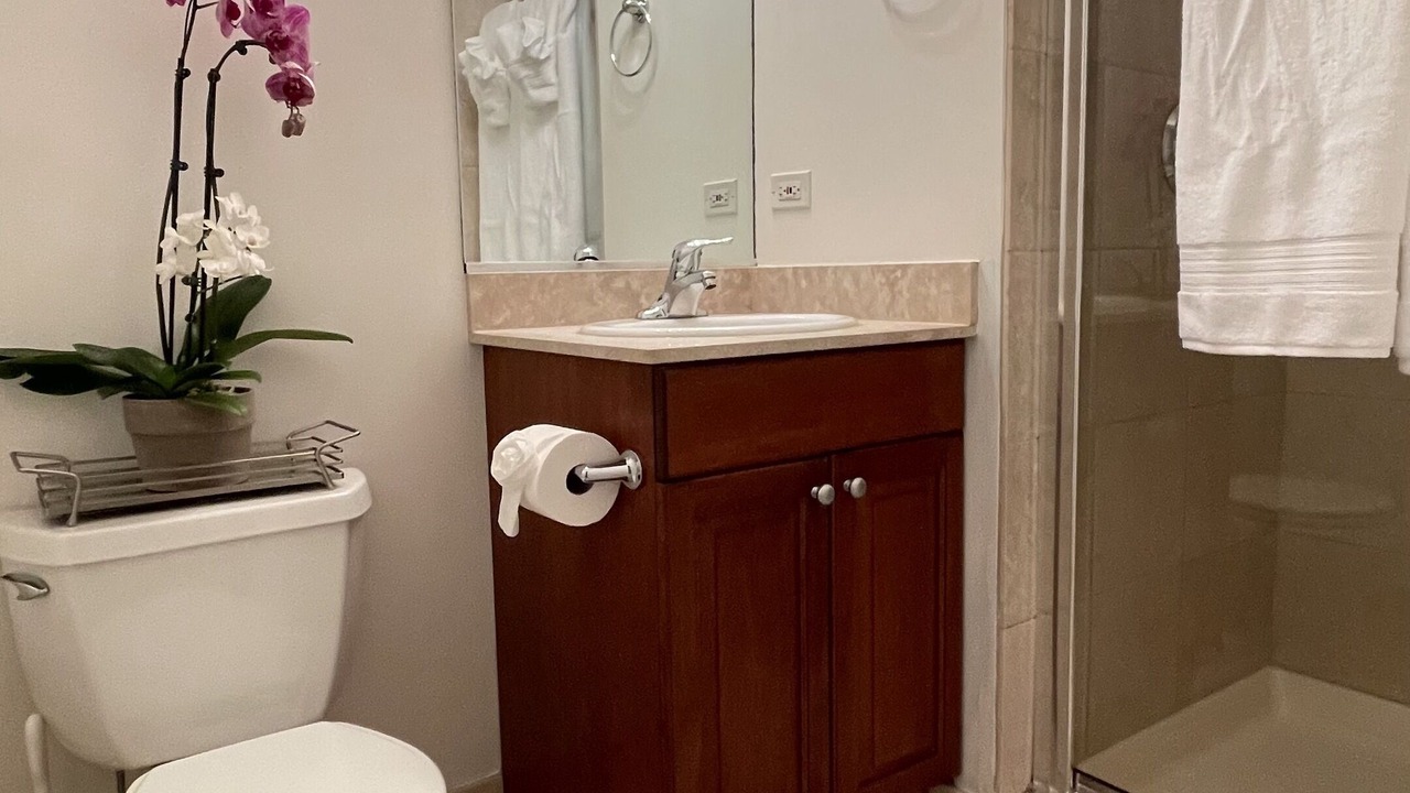Photo of Bathroom in West Town