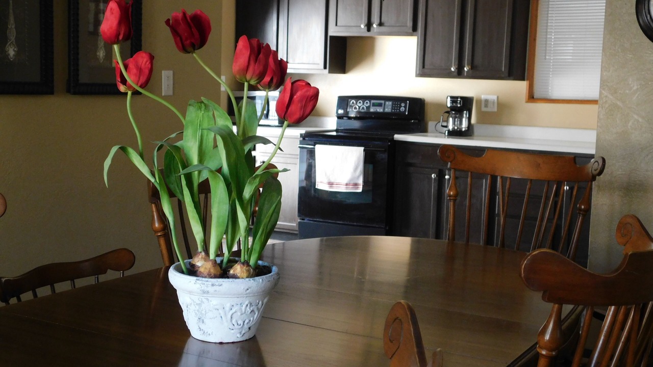 Photo of Kitchen in Pekin