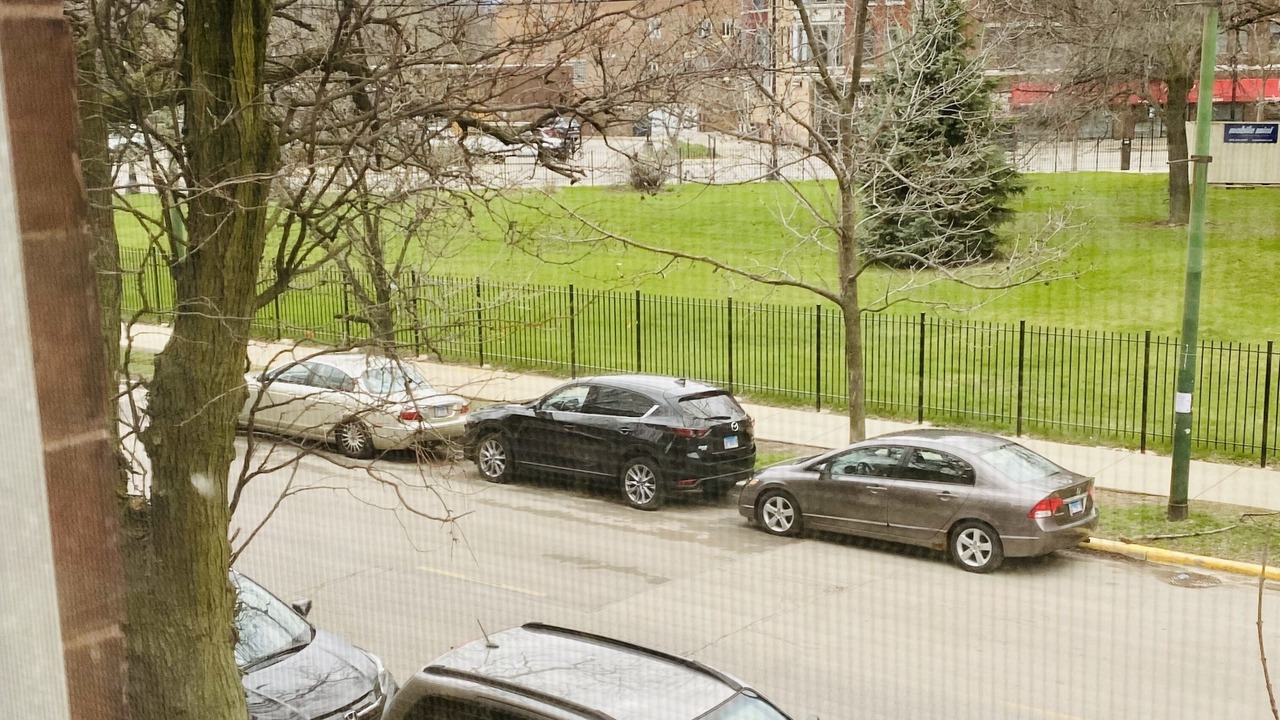 Photo of Outdoor in Wrightwood Neighbors