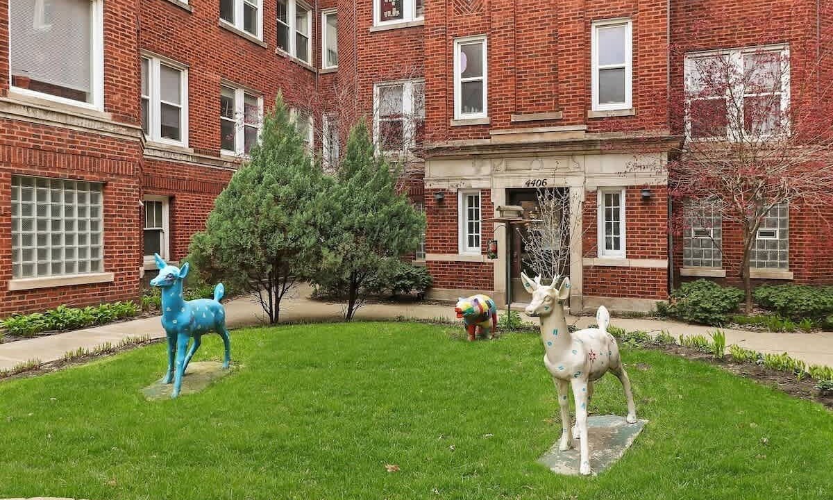 Photo of Outdoor in Ravenswood
