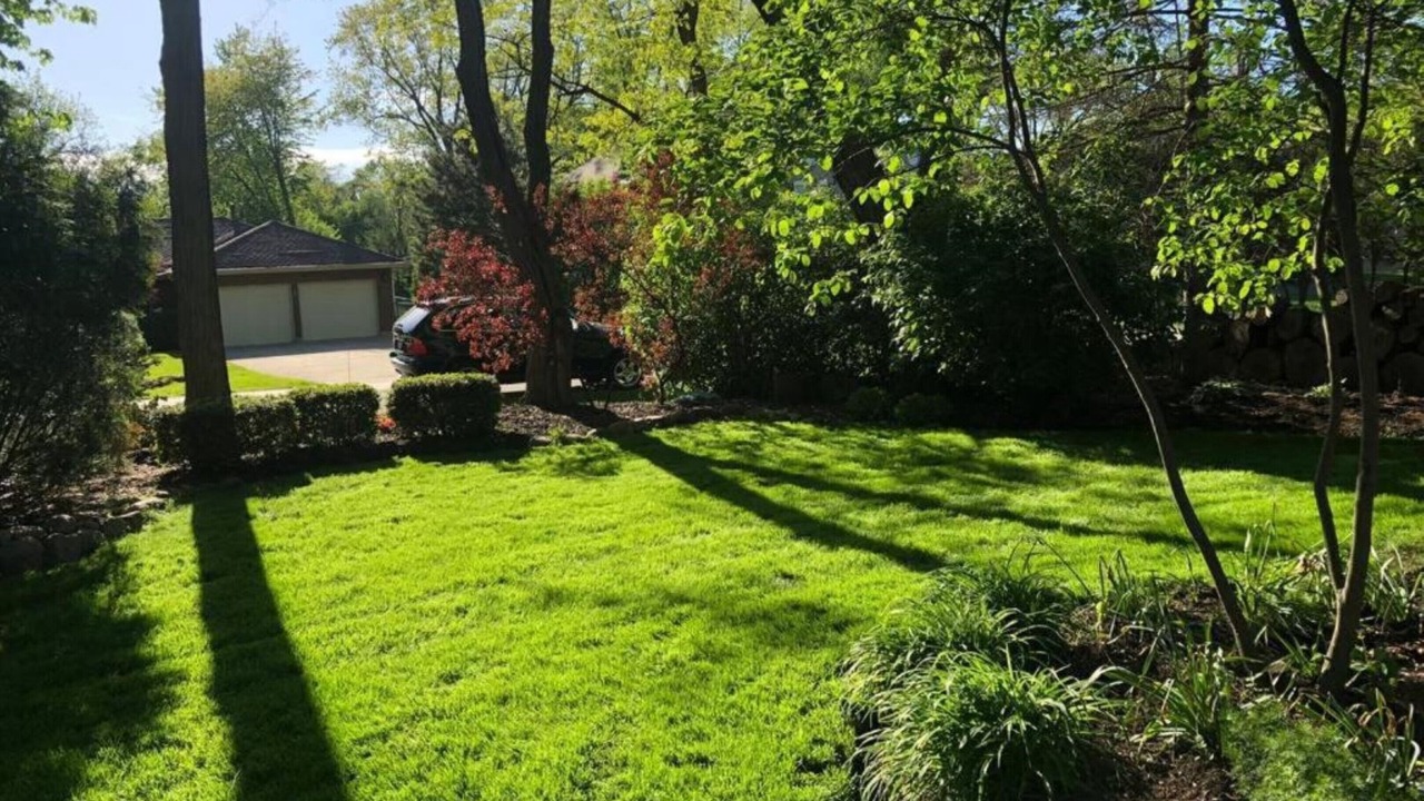 Photo of Outdoor in Schaumburg