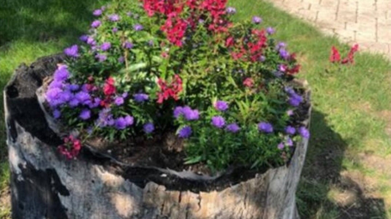Photo of Outdoor in Schaumburg